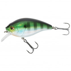 POISSON NAGEUR CRANKBAIT