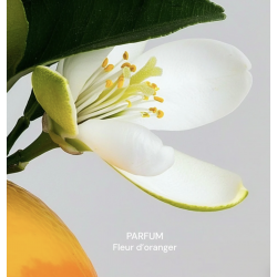 Spray cuisine et salle de bain 100% naturel