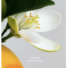Spray cuisine et salle de bain 100% naturel